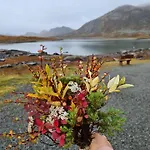 호텔 Bygdin Hoyfjellshotell Beitostolen