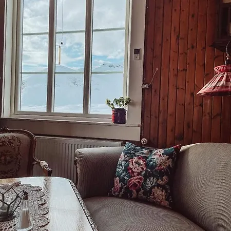 Bygdin Hoyfjellshotell فندق