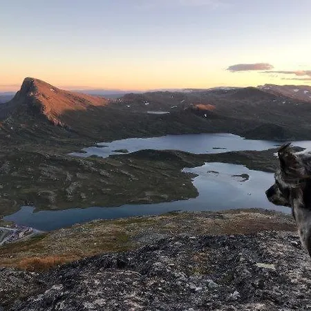 Bygdin Hoyfjellshotell فندق *