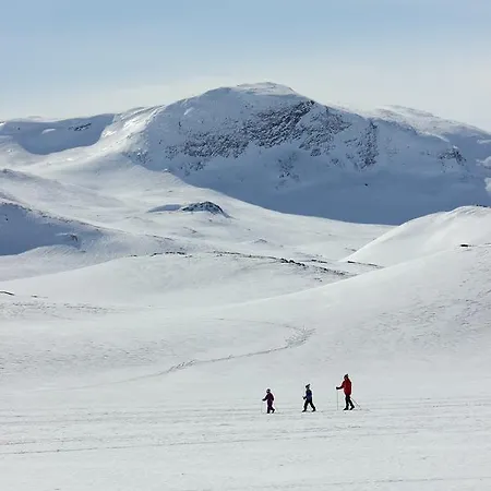 Hotel Bygdin Hoyfjellshotell Beitostolen