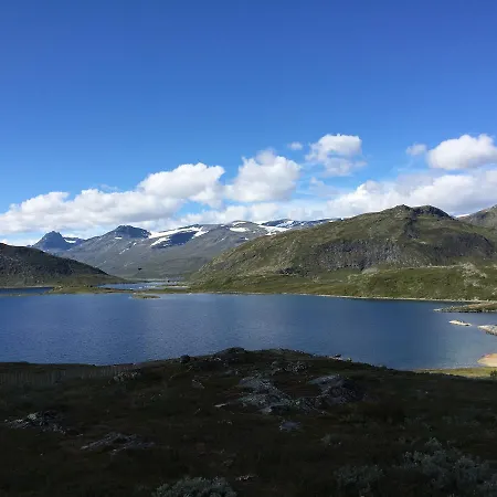 Bygdin Hoyfjellshotell فندق Beitostolen