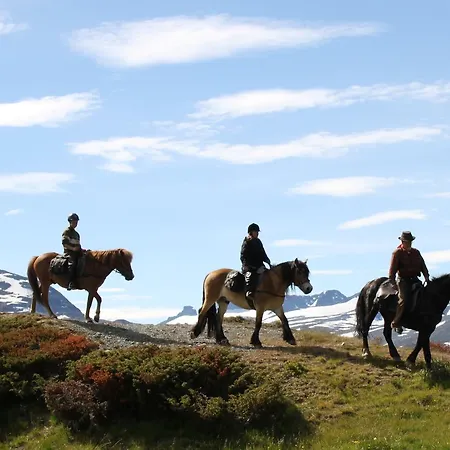 Bygdin Hoyfjellshotell