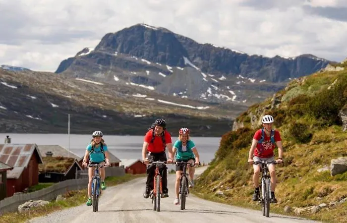Otel Bygdin Hoyfjellshotell *