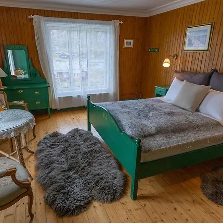 Bygdin Hoyfjellshotell *