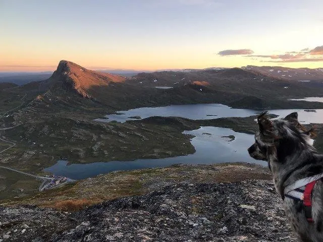 Bygdin Hoyfjellshotell Otel *