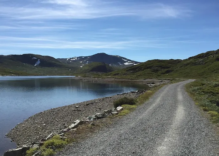 호텔 Bygdin Hoyfjellshotell *