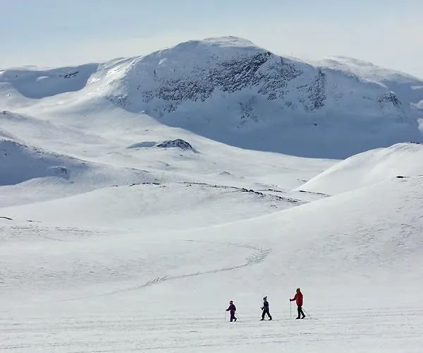 호텔 Bygdin Hoyfjellshotell Beitostolen