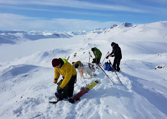 Bygdin Hoyfjellshotell *