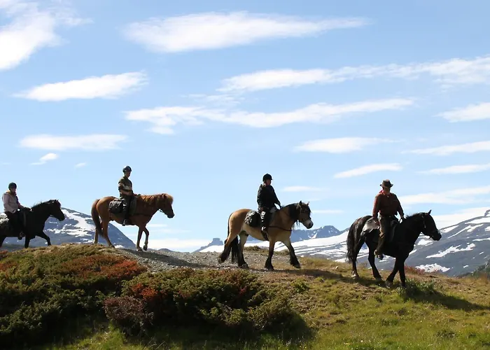 Bygdin Hoyfjellshotell